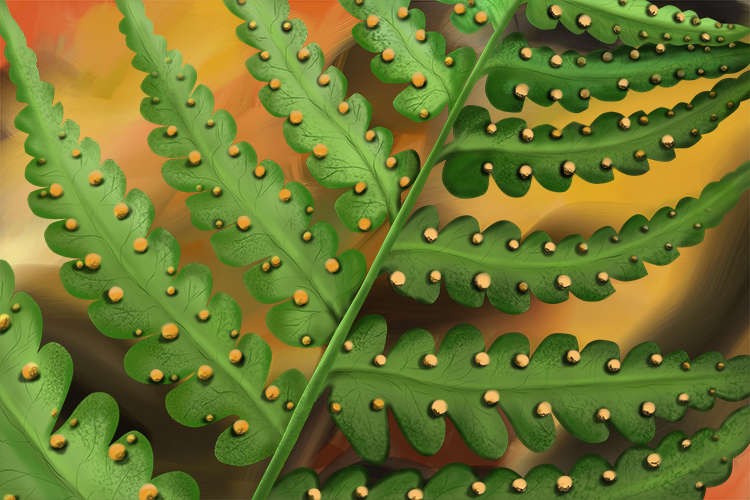 A magnified image of spores sitting on a leaf of a plant these are single celled reproductive units capable of producing new individuals without sexual fusion